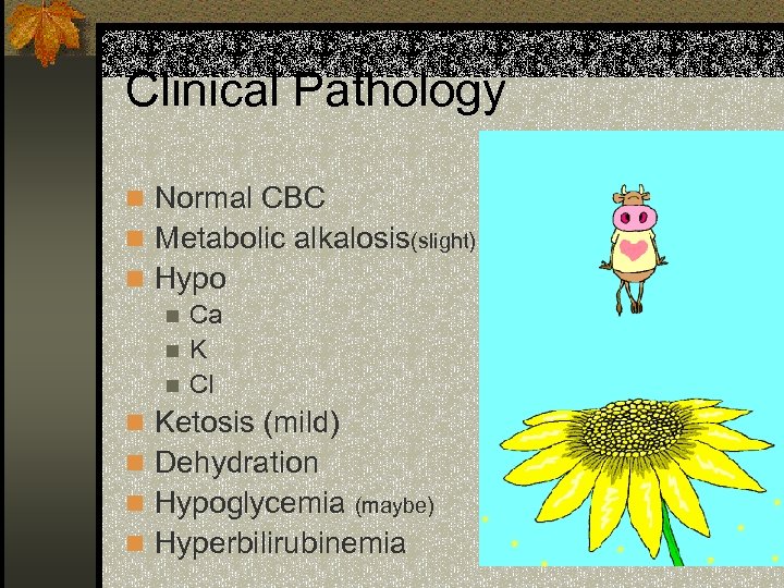 Clinical Pathology n Normal CBC n Metabolic alkalosis(slight) n Hypo n Ca n. K