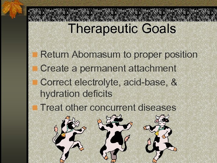 Therapeutic Goals n Return Abomasum to proper position n Create a permanent attachment n