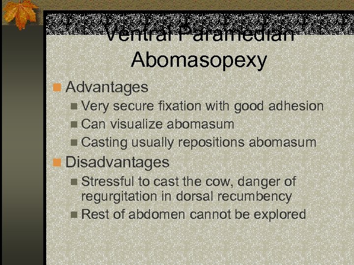 Ventral Paramedian Abomasopexy n Advantages n Very secure fixation with good adhesion n Can