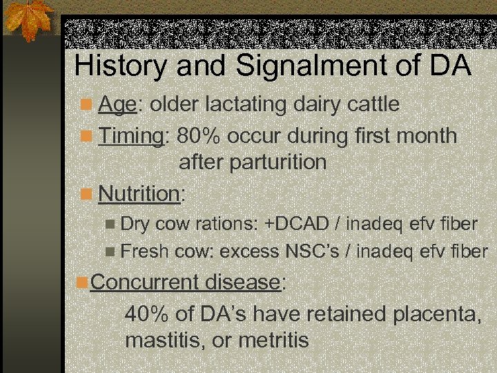 History and Signalment of DA n Age: older lactating dairy cattle n Timing: 80%