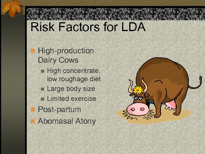 Risk Factors for LDA n High-production Dairy Cows High concentrate, low roughage diet n