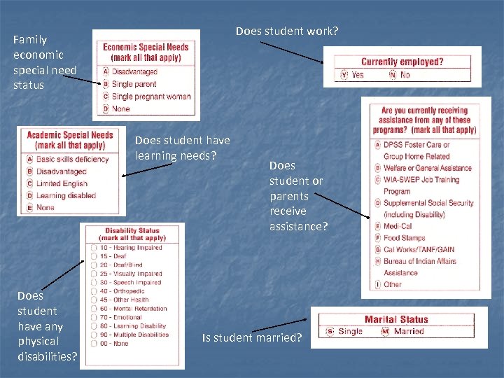 Does student work? Family economic special need status Does student have learning needs? Does