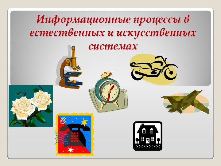 Информационные процессы в естественных и искусственных системах 