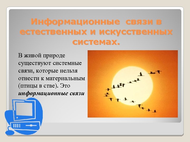 Информационные связи в естественных и искусственных системах. В живой природе существуют системные связи, которые