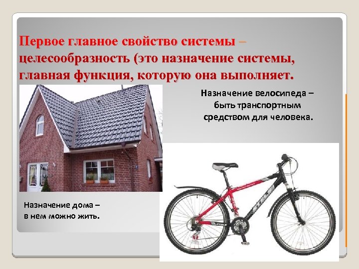 Первое главное свойство системы – целесообразность (это назначение системы, главная функция, которую она выполняет.