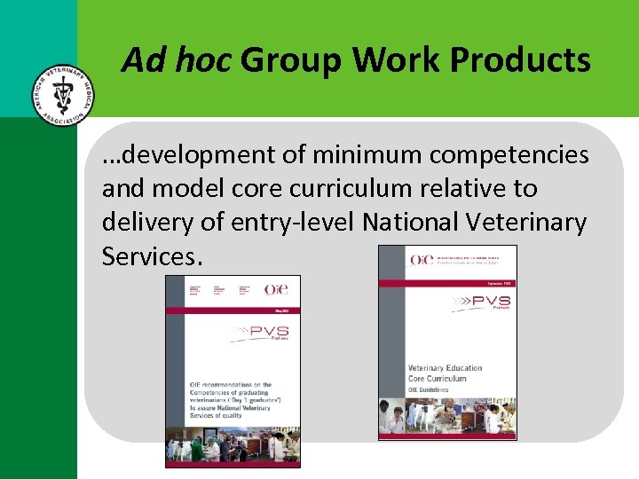 Ad hoc Group Work Products …development of minimum competencies and model core curriculum relative