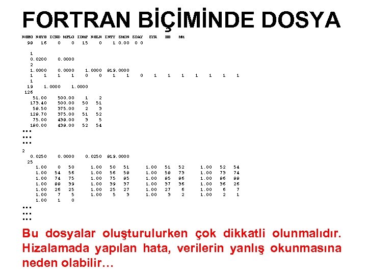 FORTRAN BİÇİMİNDE DOSYA NSEG NSYS ICRD MFLG IDMP NSLN INTY ZMON ZDAY 98 16