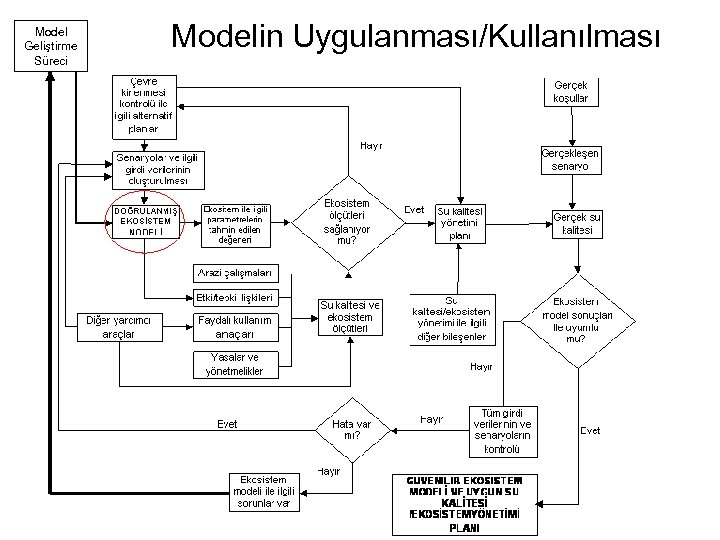 Model Geliştirme Süreci Modelin Uygulanması/Kullanılması 
