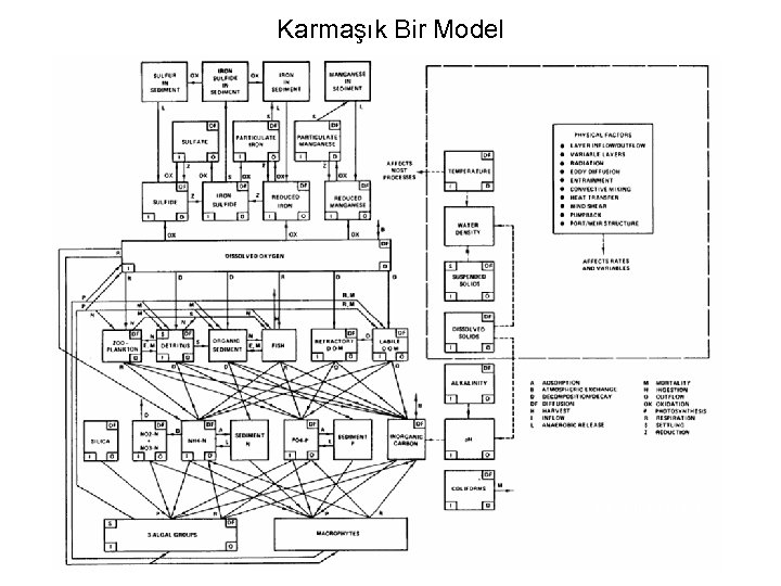 Karmaşık Bir Model CE-QUAL-R 1 