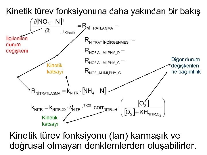 Kinetik türev fonksiyonuna daha yakından bir bakış İlgilen durum değişkeni Kinetik katsayı Diğer durum