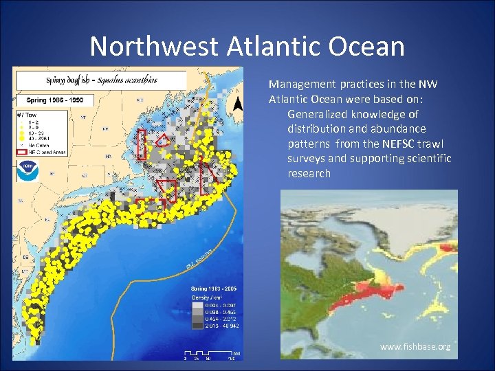 Northwest Atlantic Ocean Management practices in the NW Atlantic Ocean were based on: Generalized