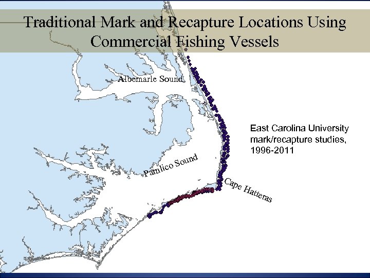 Traditional Mark and Recapture Locations Using Commercial Fishing Vessels Albemarle Sound P nd Sou