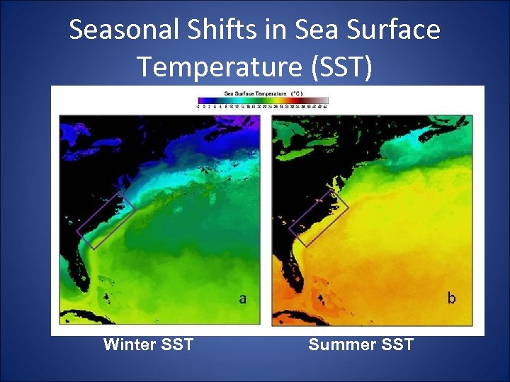 Seasonal Shifts in Sea Surface Temperature (SST) Winter SST Summer SST 