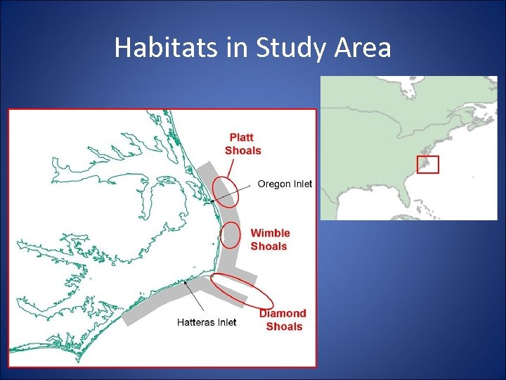 Habitats in Study Area Cape Hatteras Cape Lookout (wind data) 
