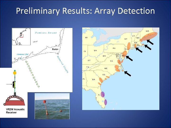 Preliminary Results: Array Detection 