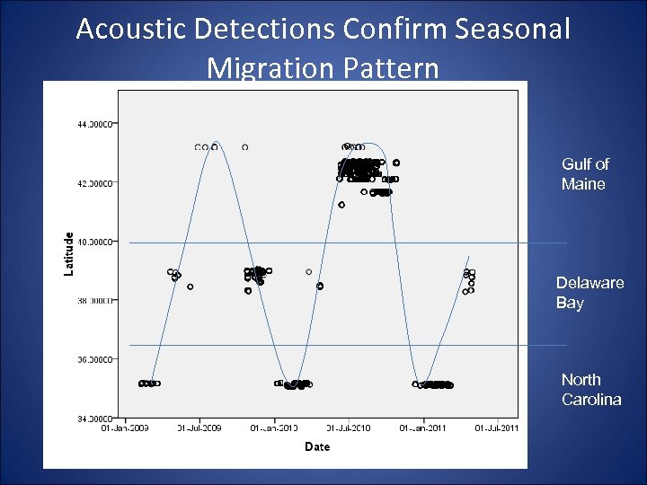 Acoustic Detections Confirm Seasonal Migration Pattern Gulf of Maine Delaware Bay North Carolina 