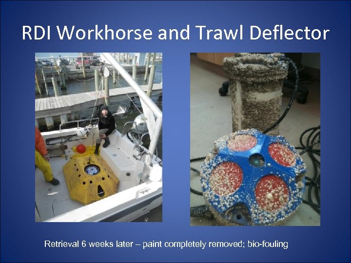 RDI Workhorse and Trawl Deflector Retrieval 6 weeks later – paint completely removed; bio-fouling