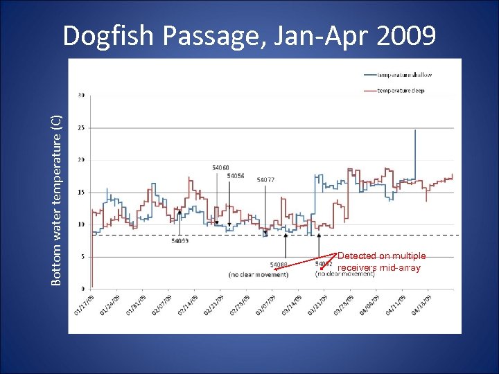 Bottom water temperature (C) Dogfish Passage, Jan-Apr 2009 Detected on multiple receivers mid-array 