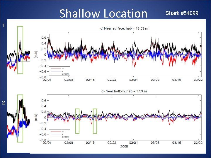 Shallow Location 1 2 Shark #54099 