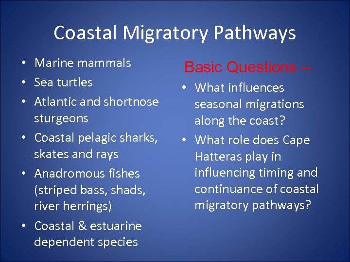 Coastal Migratory Pathways • Marine mammals • Sea turtles • Atlantic and shortnose sturgeons