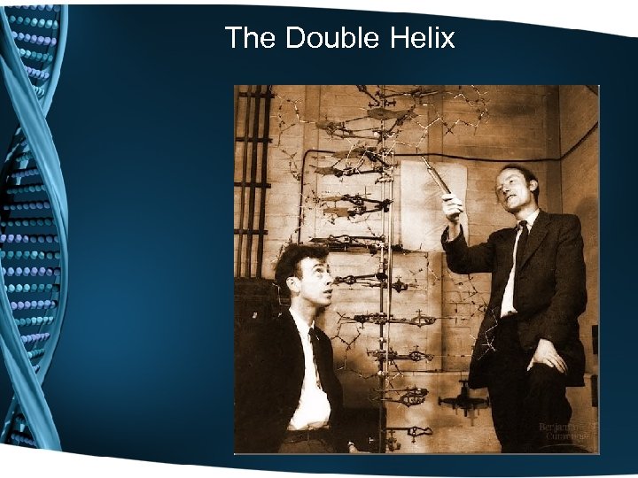 The Double Helix 