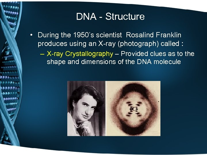 DNA - Structure • During the 1950’s scientist Rosalind Franklin produces using an X-ray