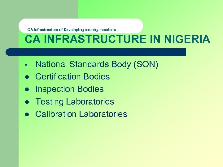 CA Infrastructure of Developing country members CA INFRASTRUCTURE IN NIGERIA § l l National