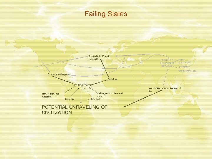 Failing States Threats to Food Security Impact on Ecosystem Services water purification pollination flood