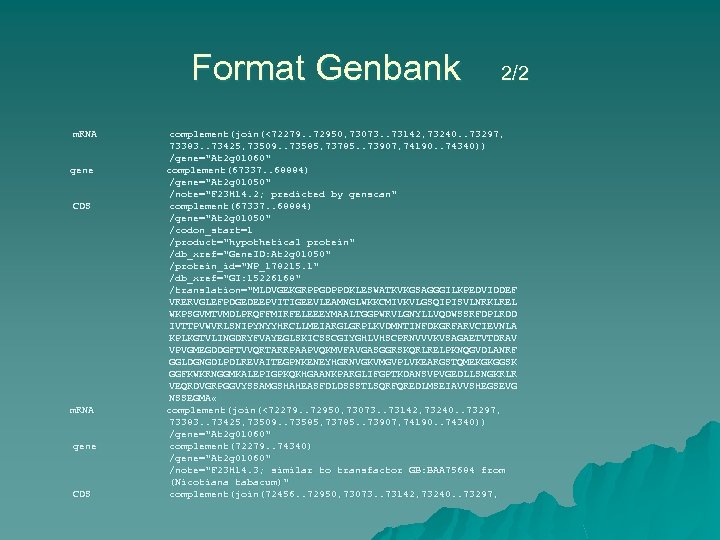 Format Genbank 2/2 m. RNA gene CDS complement(join(<72279. . 72950, 73073. . 73142, 73240.