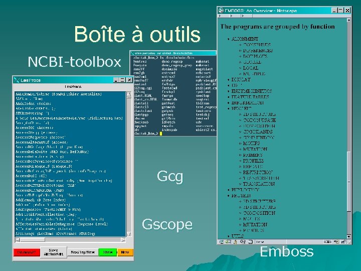 Boîte à outils NCBI-toolbox Gcg Gscope Emboss 