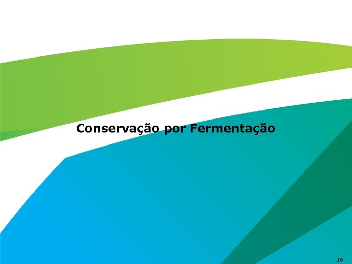 Conservação por Fermentação 18 