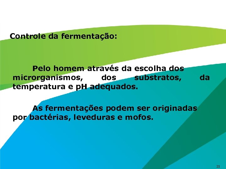 Controle da fermentação: Pelo homem através da escolha dos microrganismos, dos substratos, temperatura e