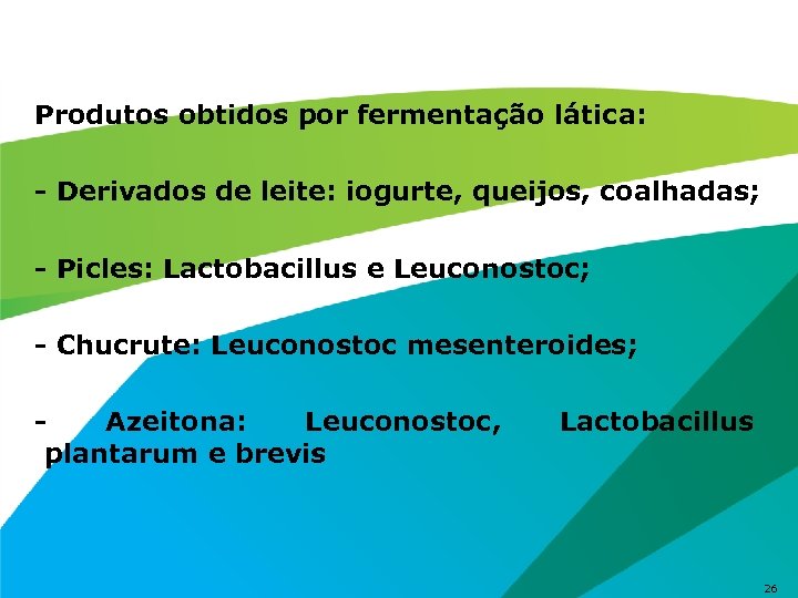 Produtos obtidos por fermentação lática: - Derivados de leite: iogurte, queijos, coalhadas; - Picles: