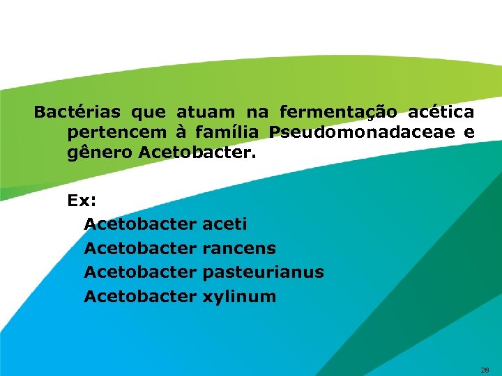 Bactérias que atuam na fermentação acética pertencem à família Pseudomonadaceae e gênero Acetobacter. Ex: