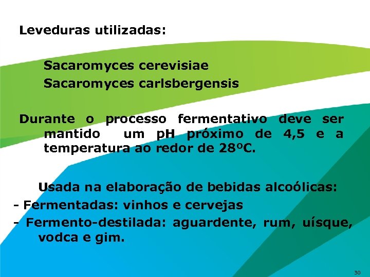 Leveduras utilizadas: Sacaromyces cerevisiae Sacaromyces carlsbergensis Durante o processo fermentativo deve ser mantido um