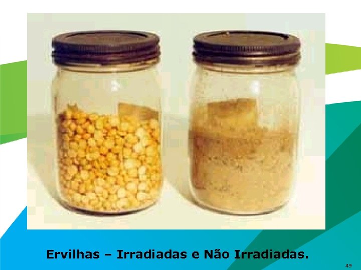 Ervilhas – Irradiadas e Não Irradiadas. 49 