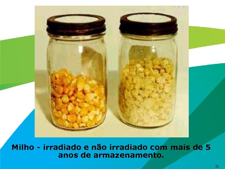 Milho - irradiado e não irradiado com mais de 5 anos de armazenamento. 51