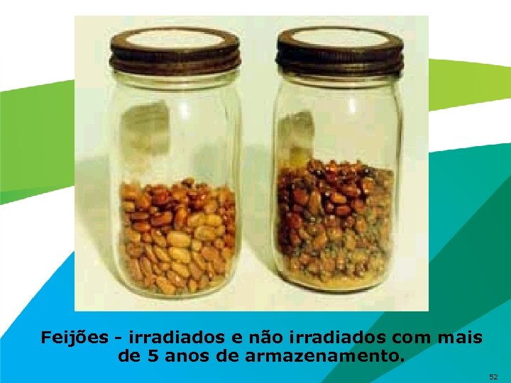 Feijões - irradiados e não irradiados com mais de 5 anos de armazenamento. 52