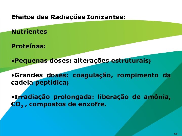Efeitos das Radiações Ionizantes: Nutrientes Proteínas: • Pequenas doses: alterações estruturais; • Grandes doses: