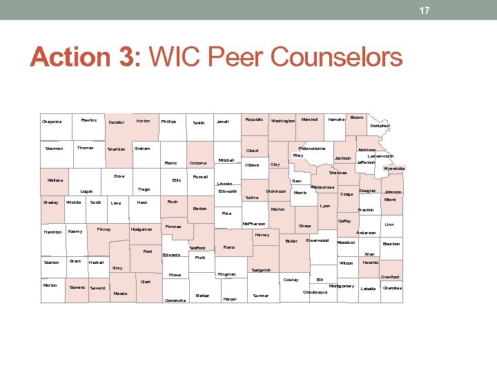 17 Action 3: WIC Peer Counselors Rawlins Cheyenne Sherman Decatur Sheridan Thomas Norton Graham