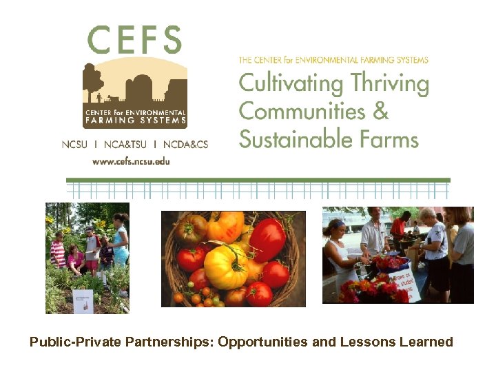 Public-Private Partnerships: Opportunities and Lessons Learned 