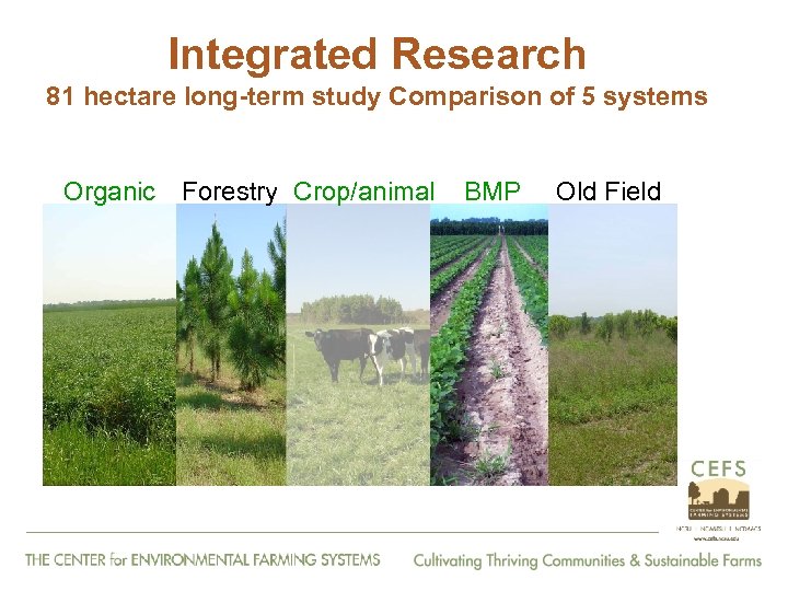 Integrated Research 81 hectare long-term study Comparison of 5 systems Organic Forestry Crop/animal BMP