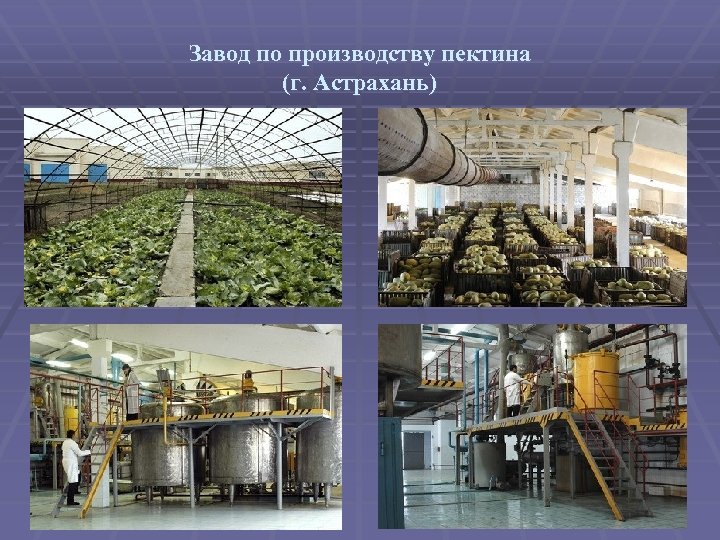 Завод по производству пектина (г. Астрахань) 
