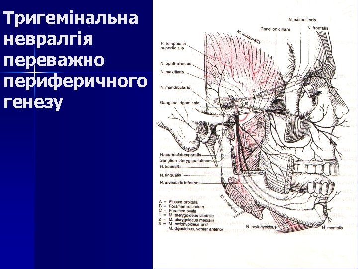 Тригемінальна невралгія переважно периферичного генезу 