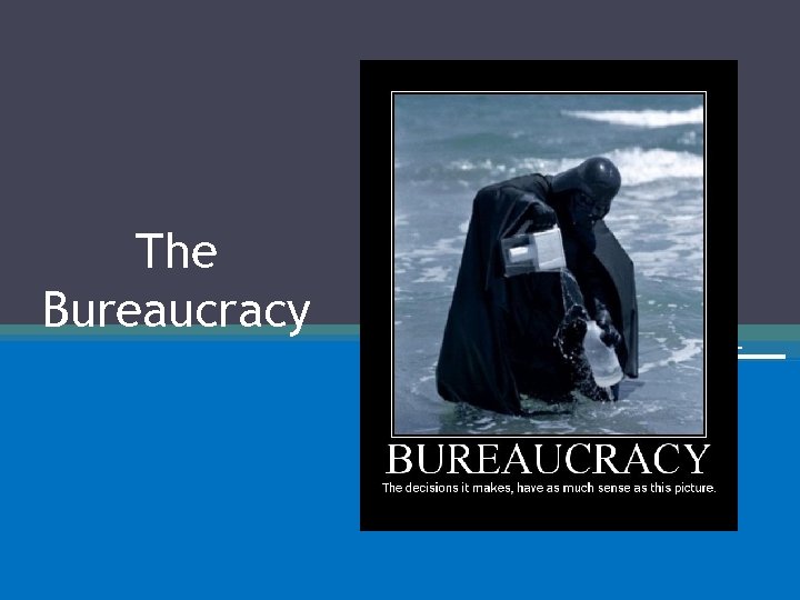 The Bureaucracy 