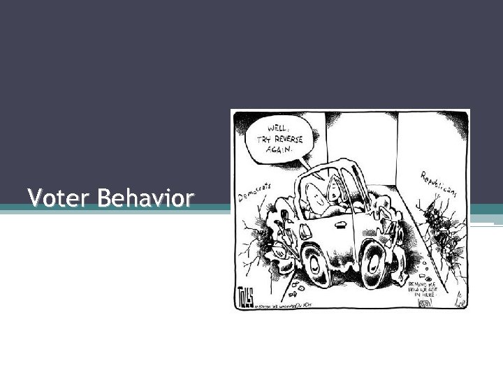 Voter Behavior 