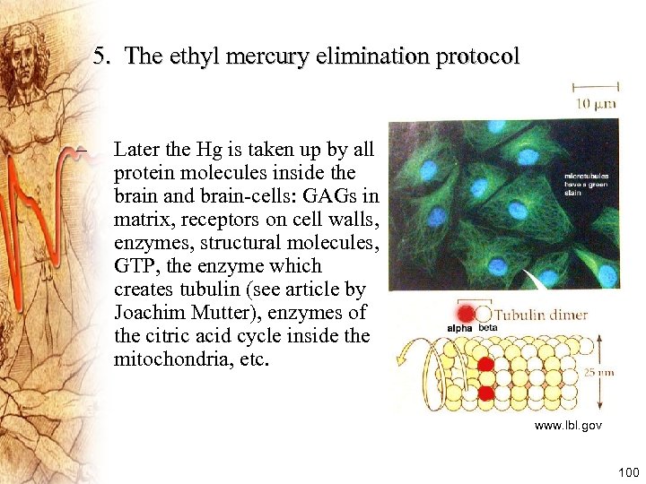 5. The ethyl mercury elimination protocol – Later the Hg is taken up by