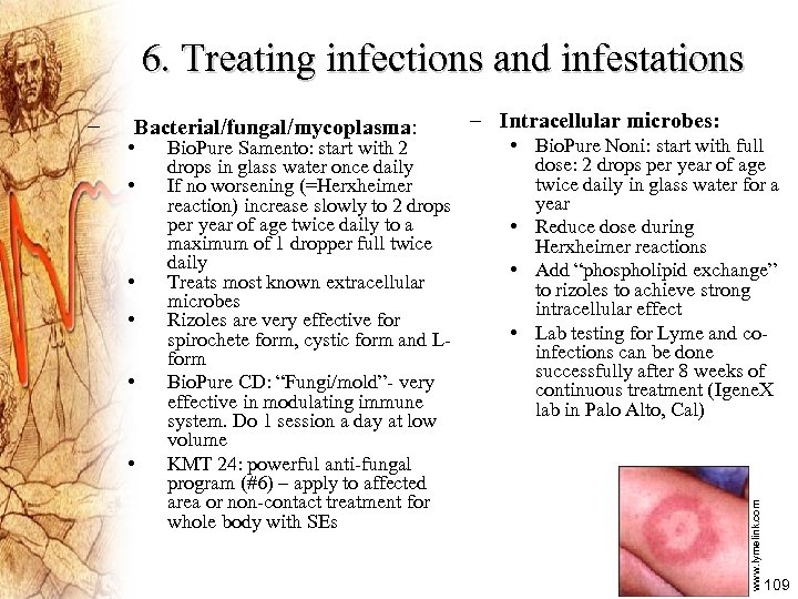 6. Treating infections and infestations Bacterial/fungal/mycoplasma: • • • Bio. Pure Samento: start with