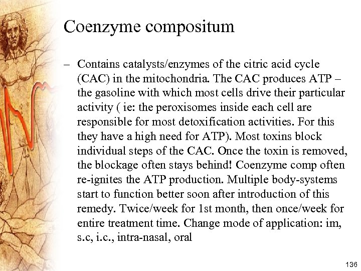 Coenzyme compositum – Contains catalysts/enzymes of the citric acid cycle (CAC) in the mitochondria.