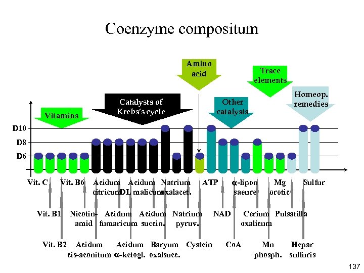 Coenzyme compositum Amino acid Vitamins Catalysts of Krebs’s cycle Trace elements Homeop. remedies Other